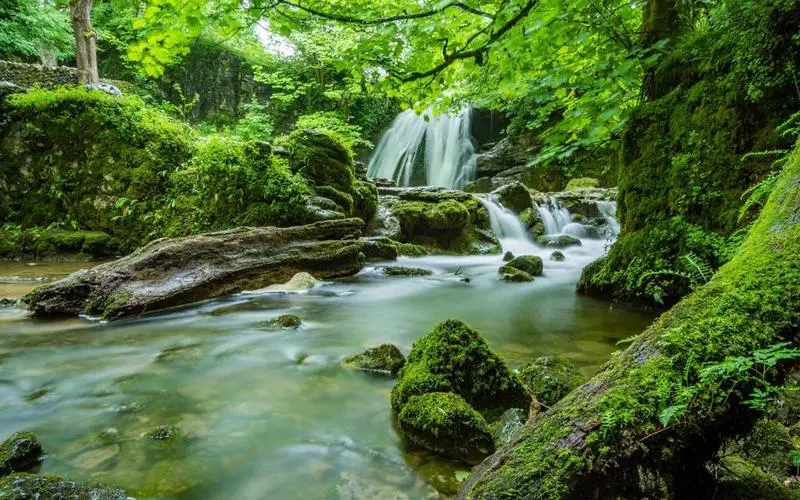 高标准高质量稳定性